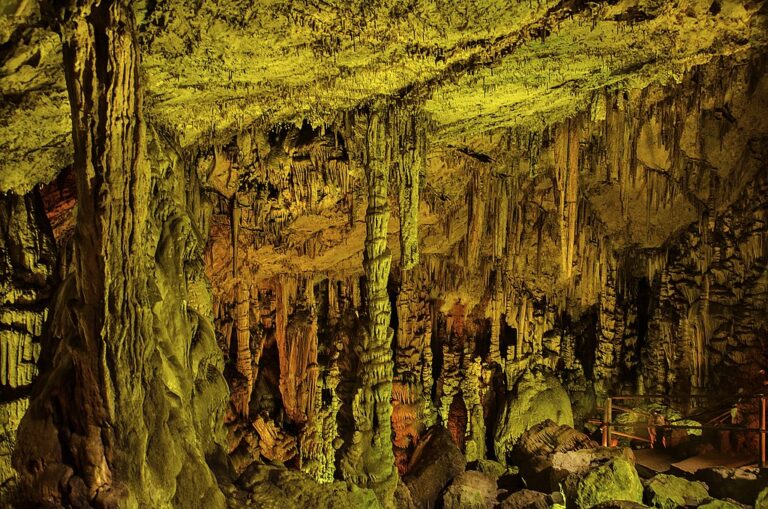 Lasithi Plateau & Knossos Palace (1151434)