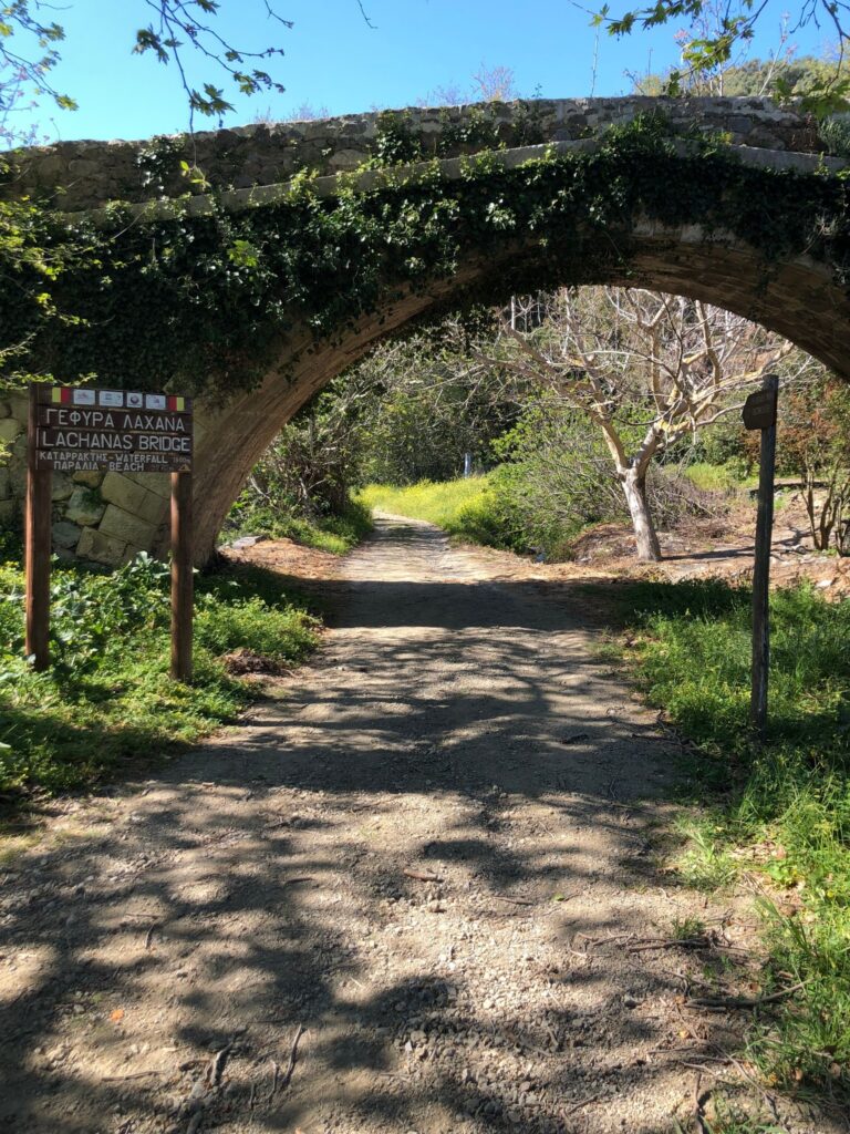 Full Day to Rihti Waterfalls, Mochlos Village, Azoria’s Ancient Olive Tree