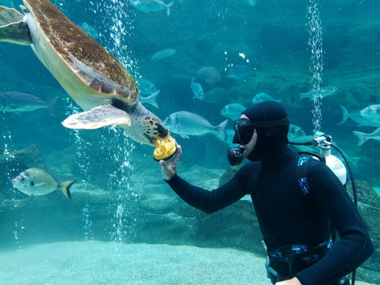 Family Excursion: From Sea Wonders to Mythical Realms Adventure (660721)