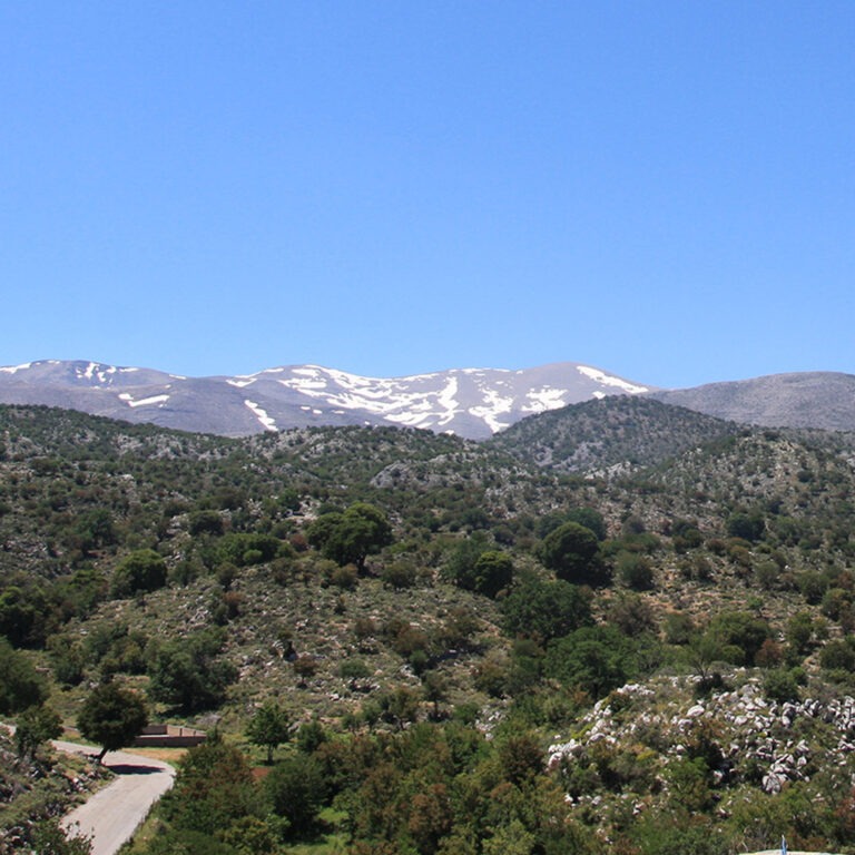 Full-Day Visit to the Highland Pastures of Psiloritis
