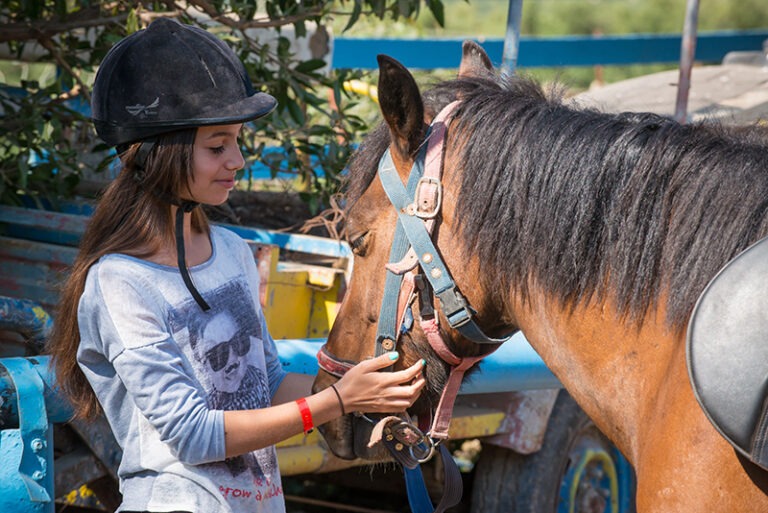 Horse Riding